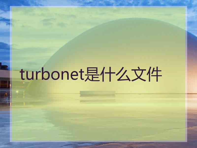 turbonet是什么文件