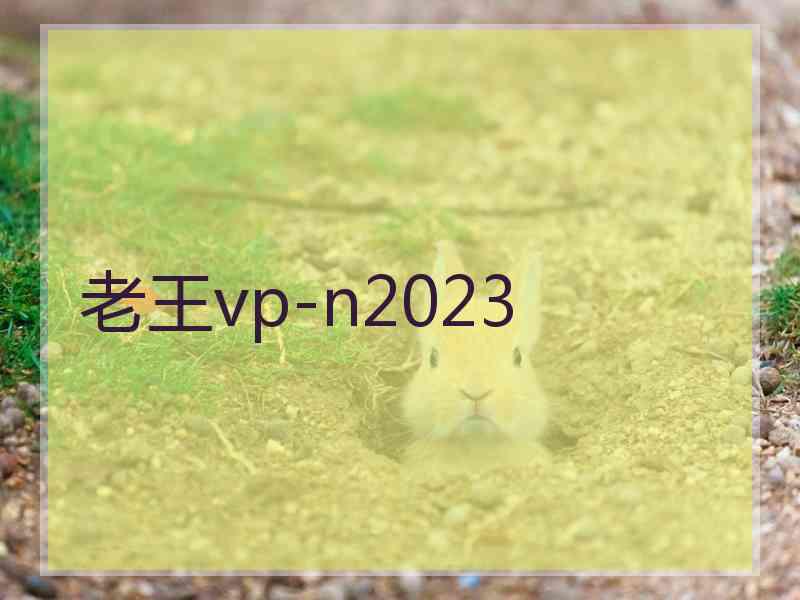 老王vp-n2023