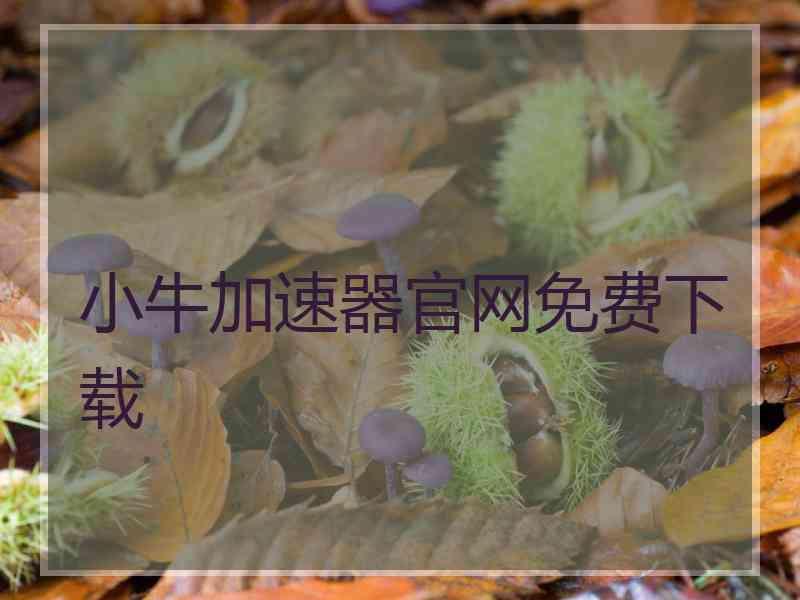 小牛加速器官网免费下载