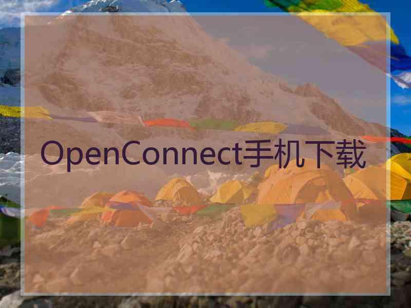 OpenConnect手机下载