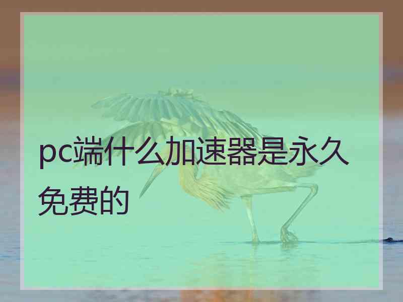 pc端什么加速器是永久免费的