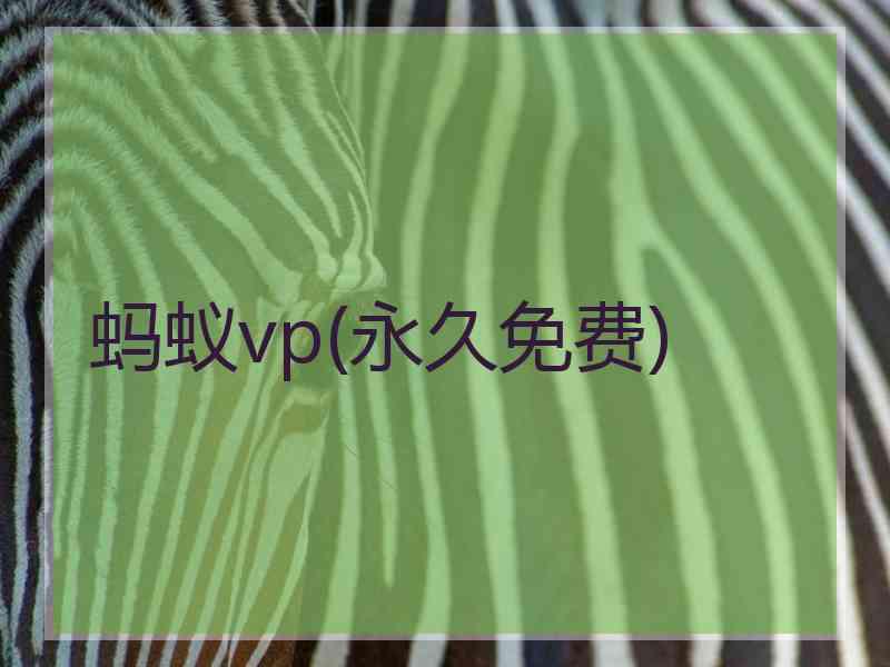 蚂蚁vp(永久免费)