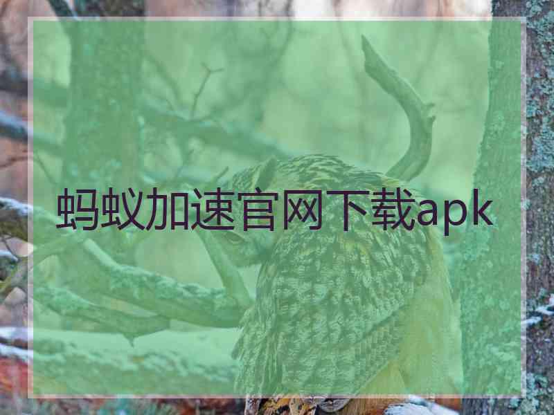 蚂蚁加速官网下载apk