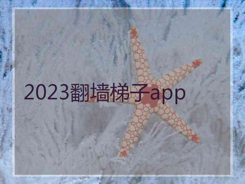 2023翻墙梯子app