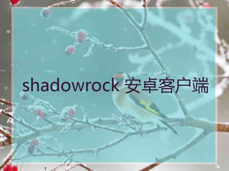 shadowrock 安卓客户端