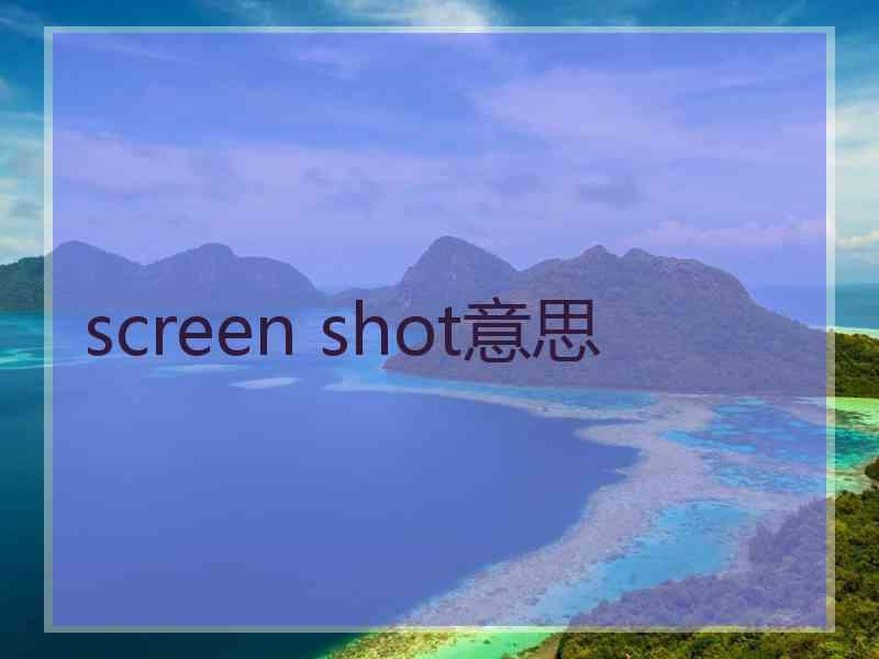 screen shot意思