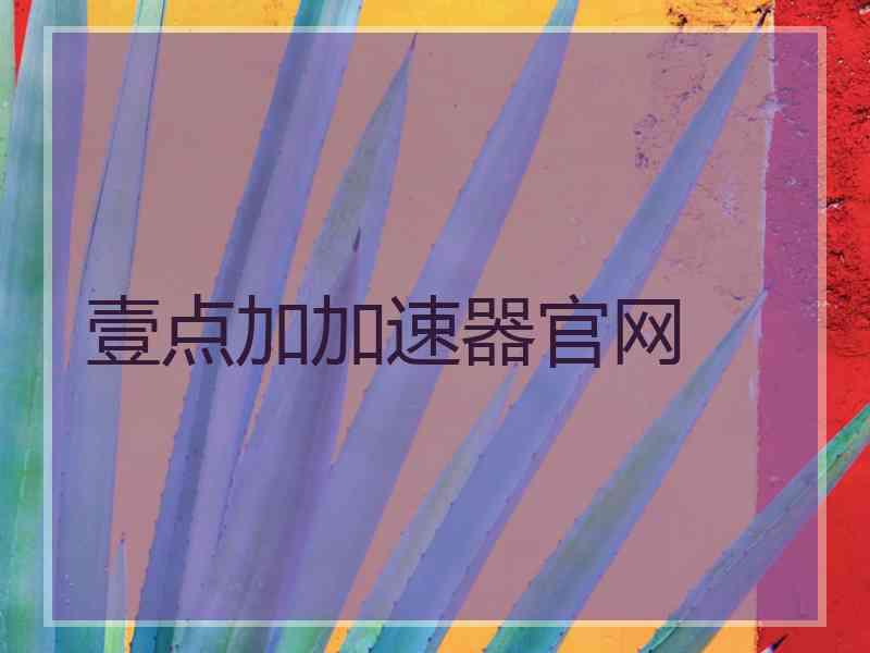 壹点加加速器官网