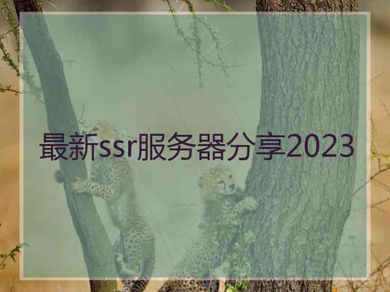 最新ssr服务器分享2023