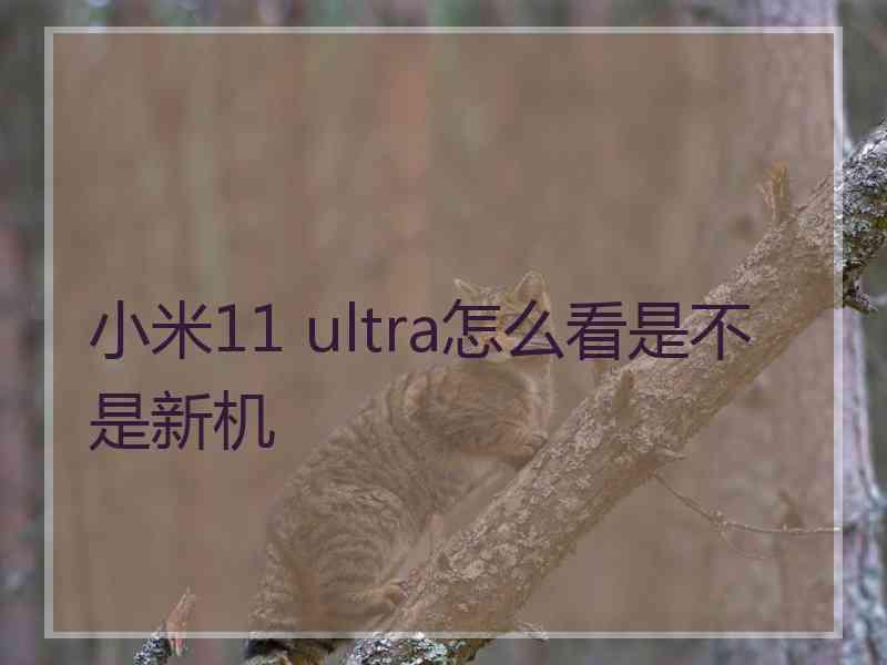 小米11 ultra怎么看是不是新机