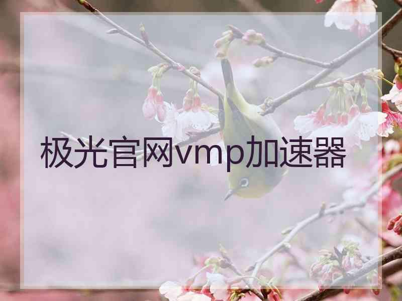 极光官网vmp加速器