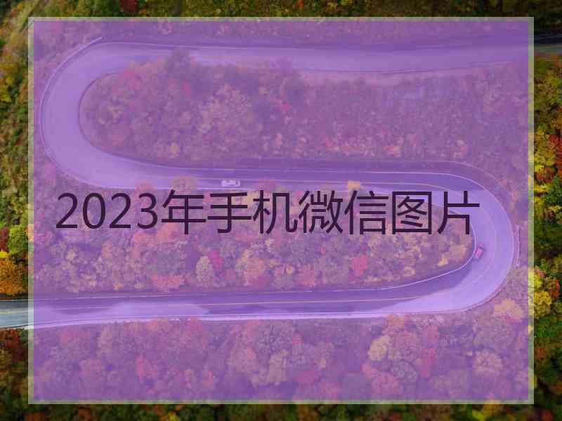 2023年手机微信图片