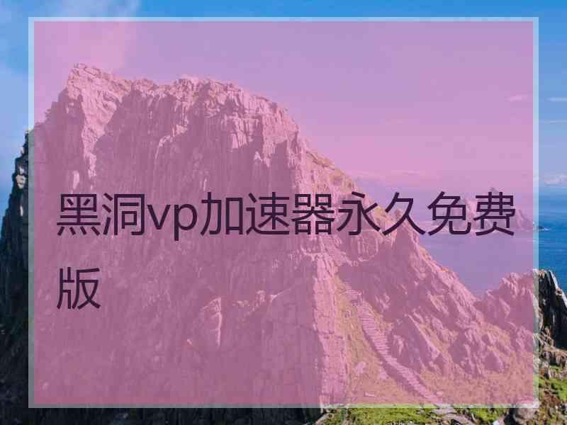 黑洞vp加速器永久免费版