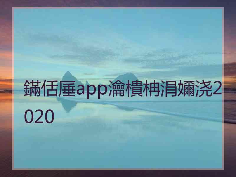 鏋佸厜app瀹樻柟涓嬭浇2020