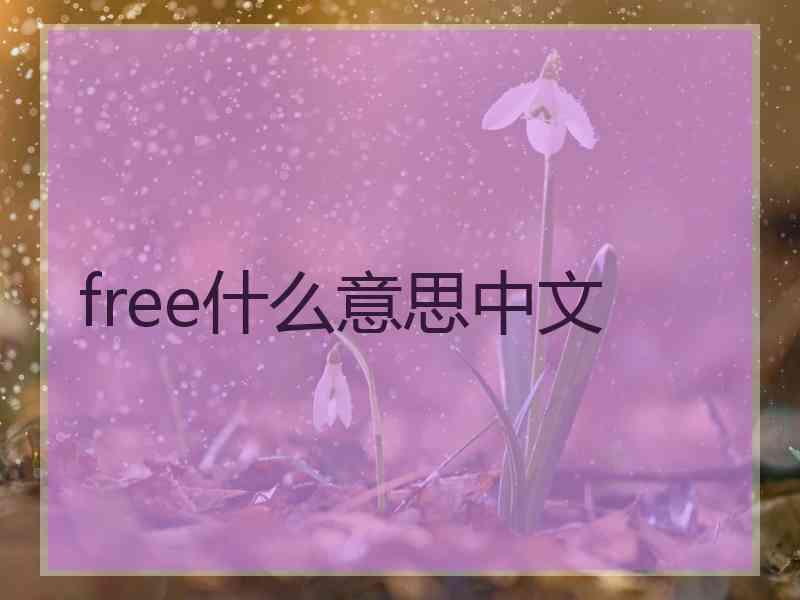 free什么意思中文