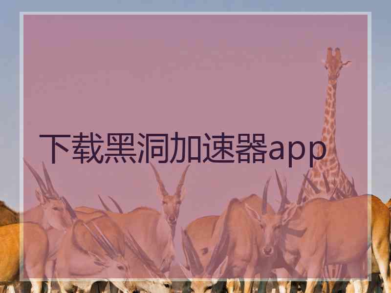 下载黑洞加速器app