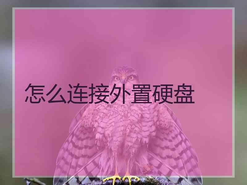 怎么连接外置硬盘