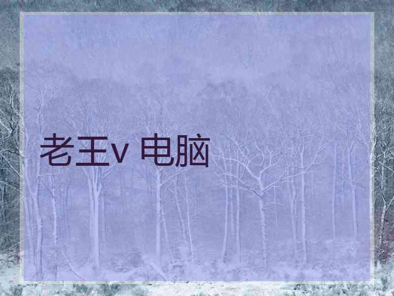 老王v 电脑