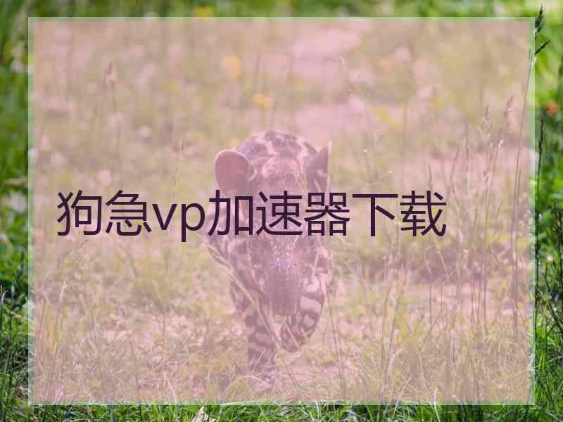 狗急vp加速器下载