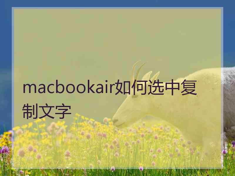 macbookair如何选中复制文字