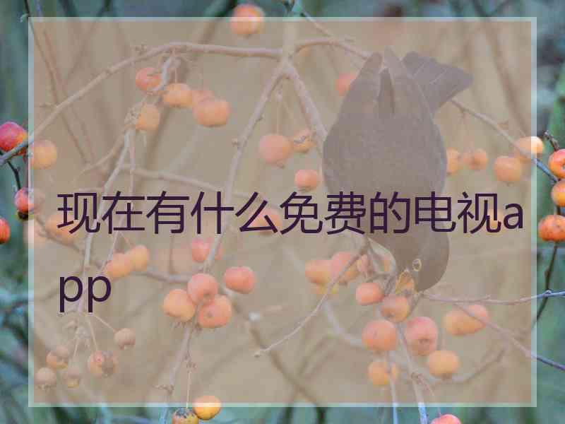 现在有什么免费的电视app