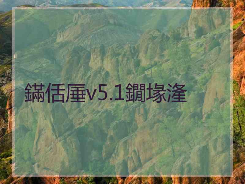 鏋佸厜v5.1鐗堟湰