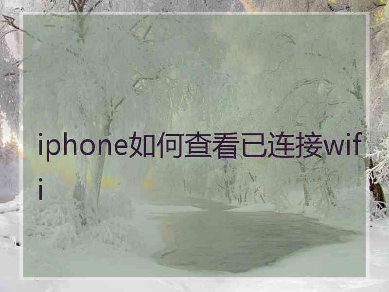 iphone如何查看已连接wifi