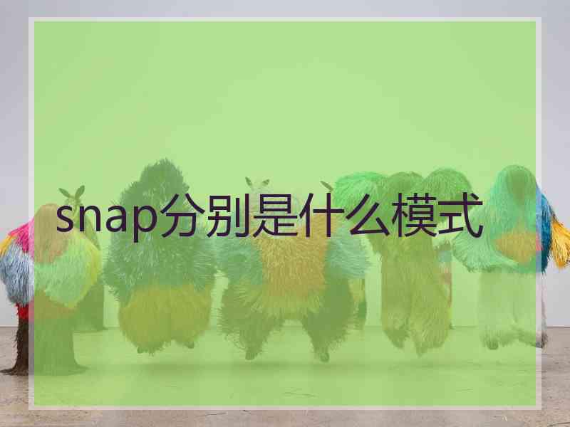 snap分别是什么模式