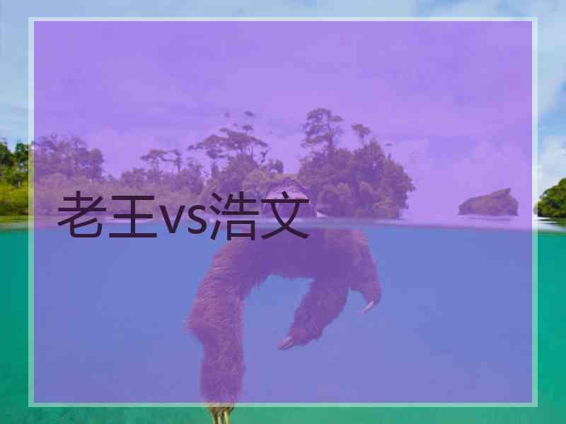 老王vs浩文