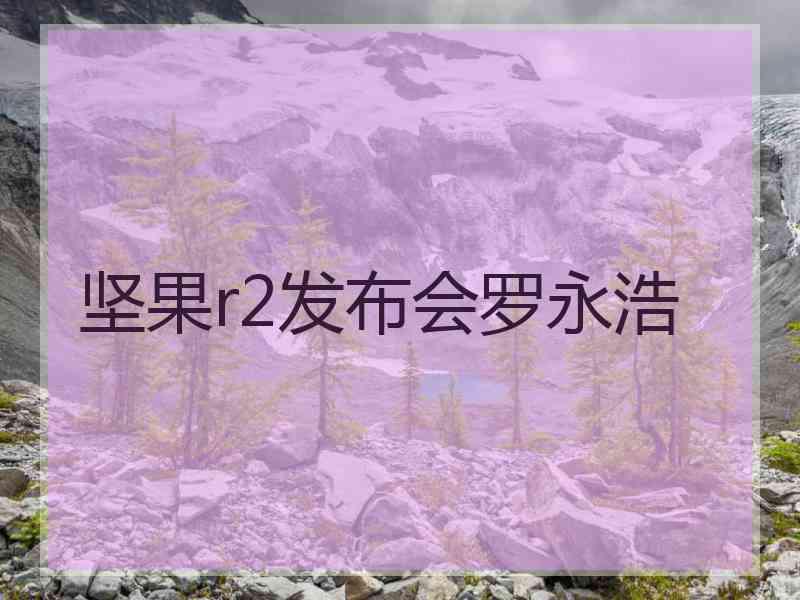 坚果r2发布会罗永浩