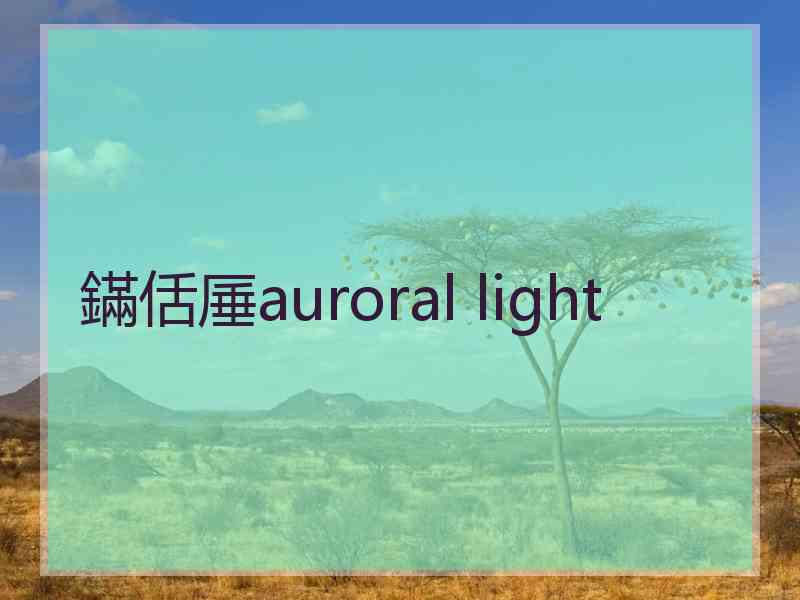 鏋佸厜auroral light