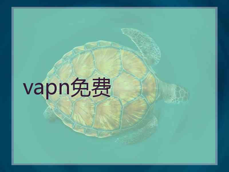 vapn免费