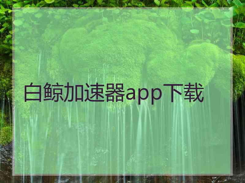 白鲸加速器app下载