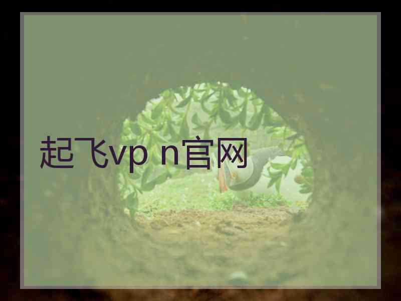 起飞vp n官网