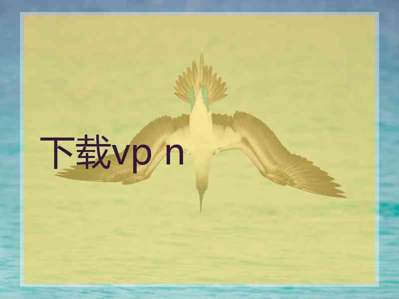 下载vp n