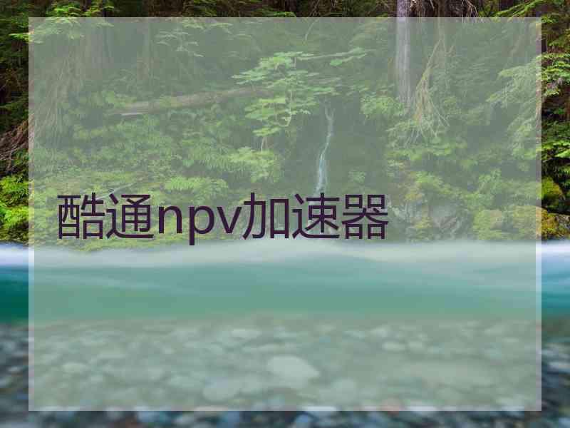 酷通npv加速器