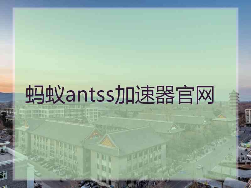 蚂蚁antss加速器官网