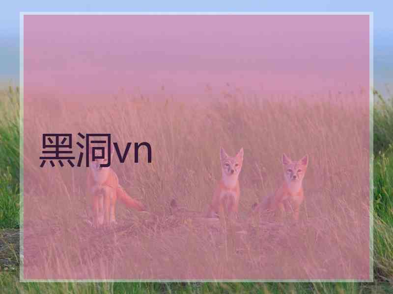 黑洞vn