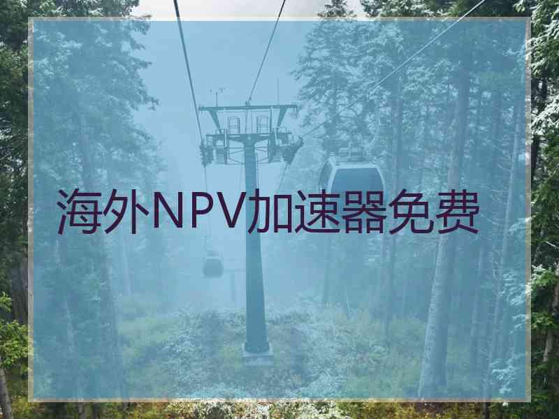 海外NPV加速器免费