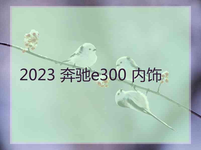 2023 奔驰e300 内饰