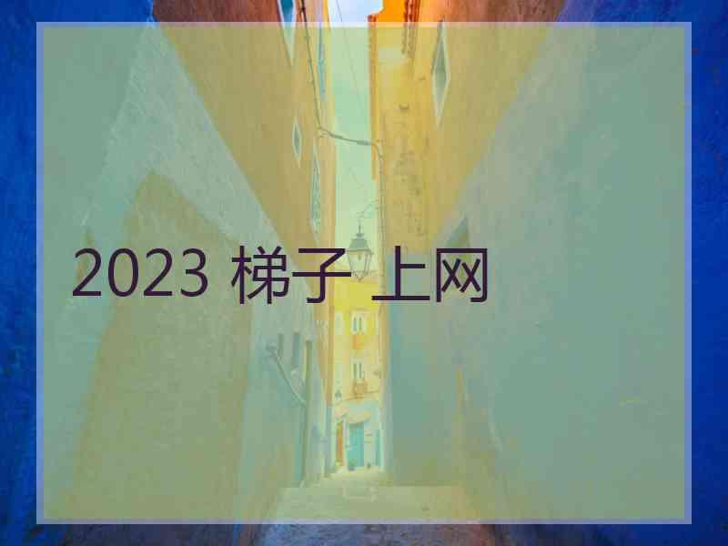 2023 梯子 上网