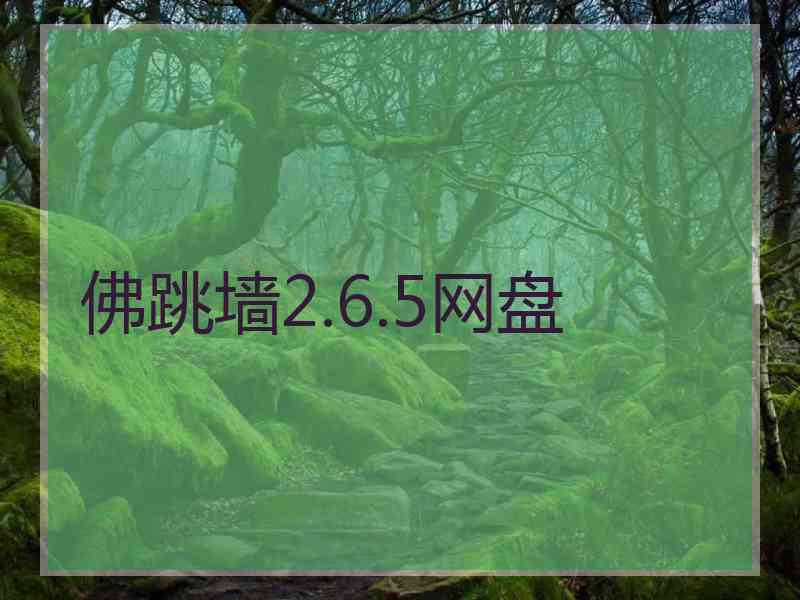 佛跳墙2.6.5网盘