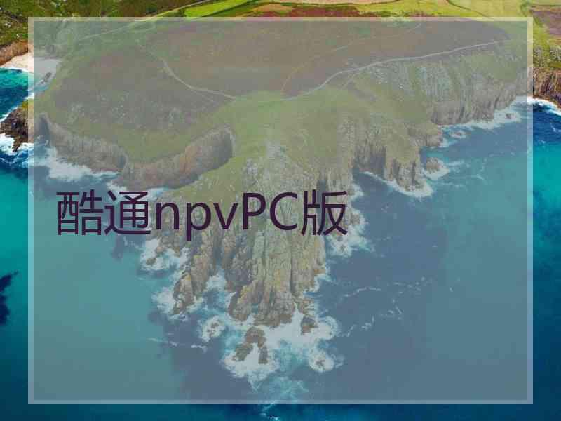 酷通npvPC版