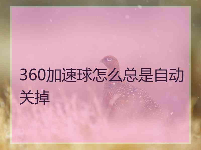 360加速球怎么总是自动关掉