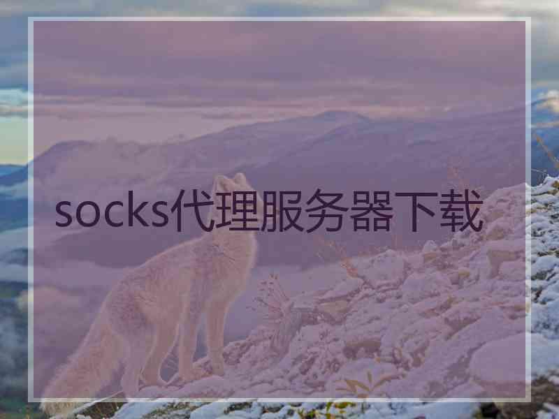 socks代理服务器下载