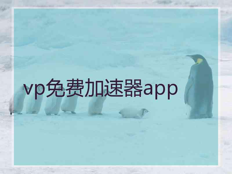 vp免费加速器app