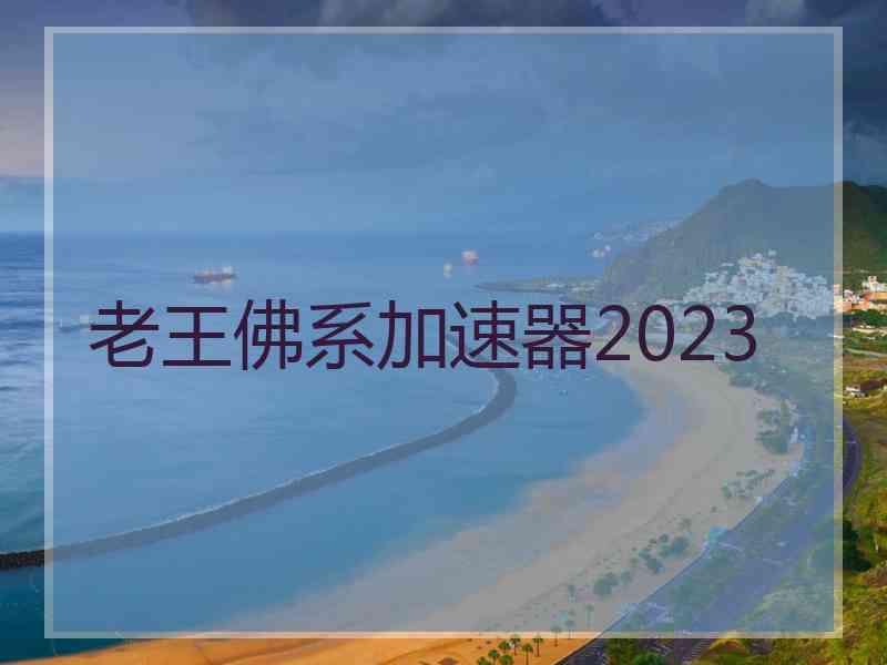 老王佛系加速器2023