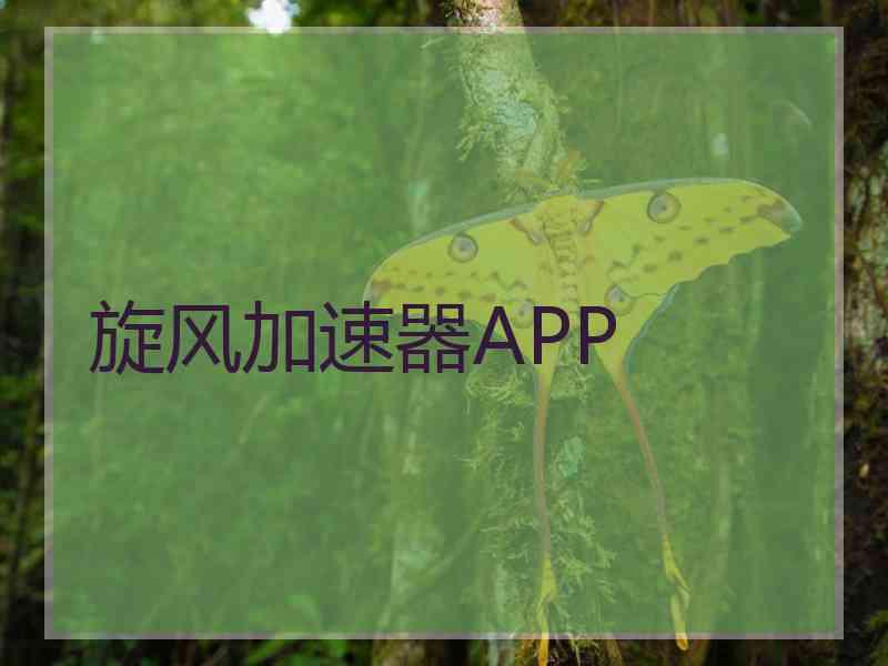 旋风加速器APP