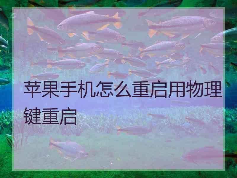 苹果手机怎么重启用物理键重启