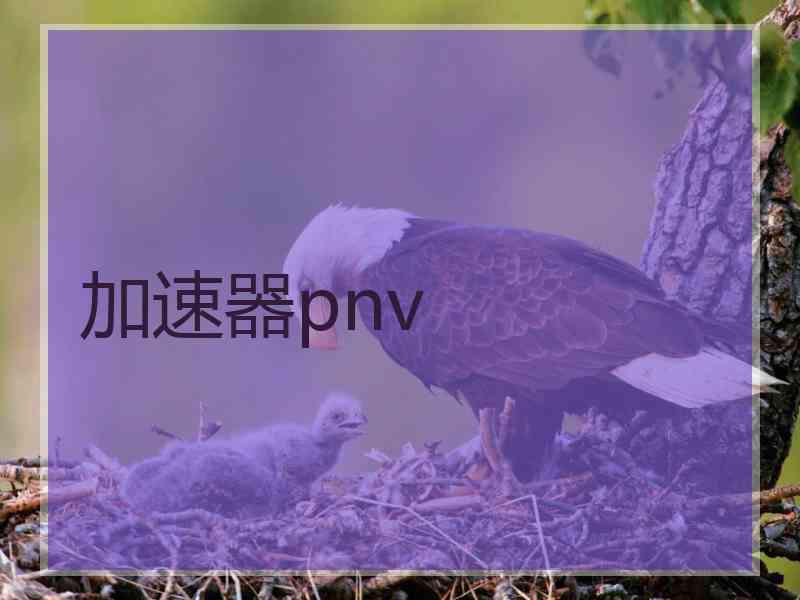 加速器pnv