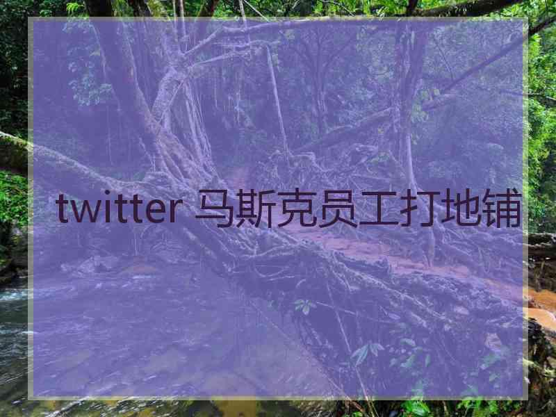 twitter 马斯克员工打地铺